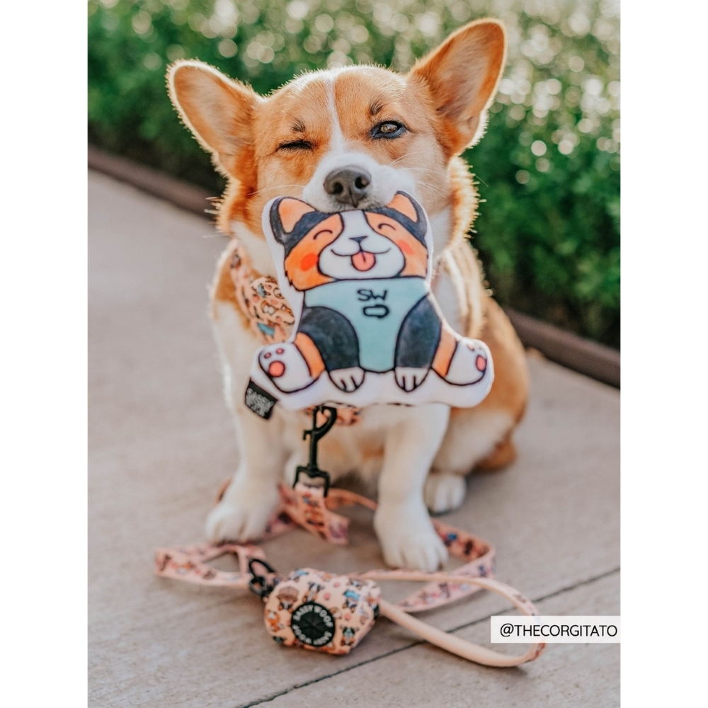 Sassy Woof Corgi Squeaky Dog Toy - Picture 4 of 11